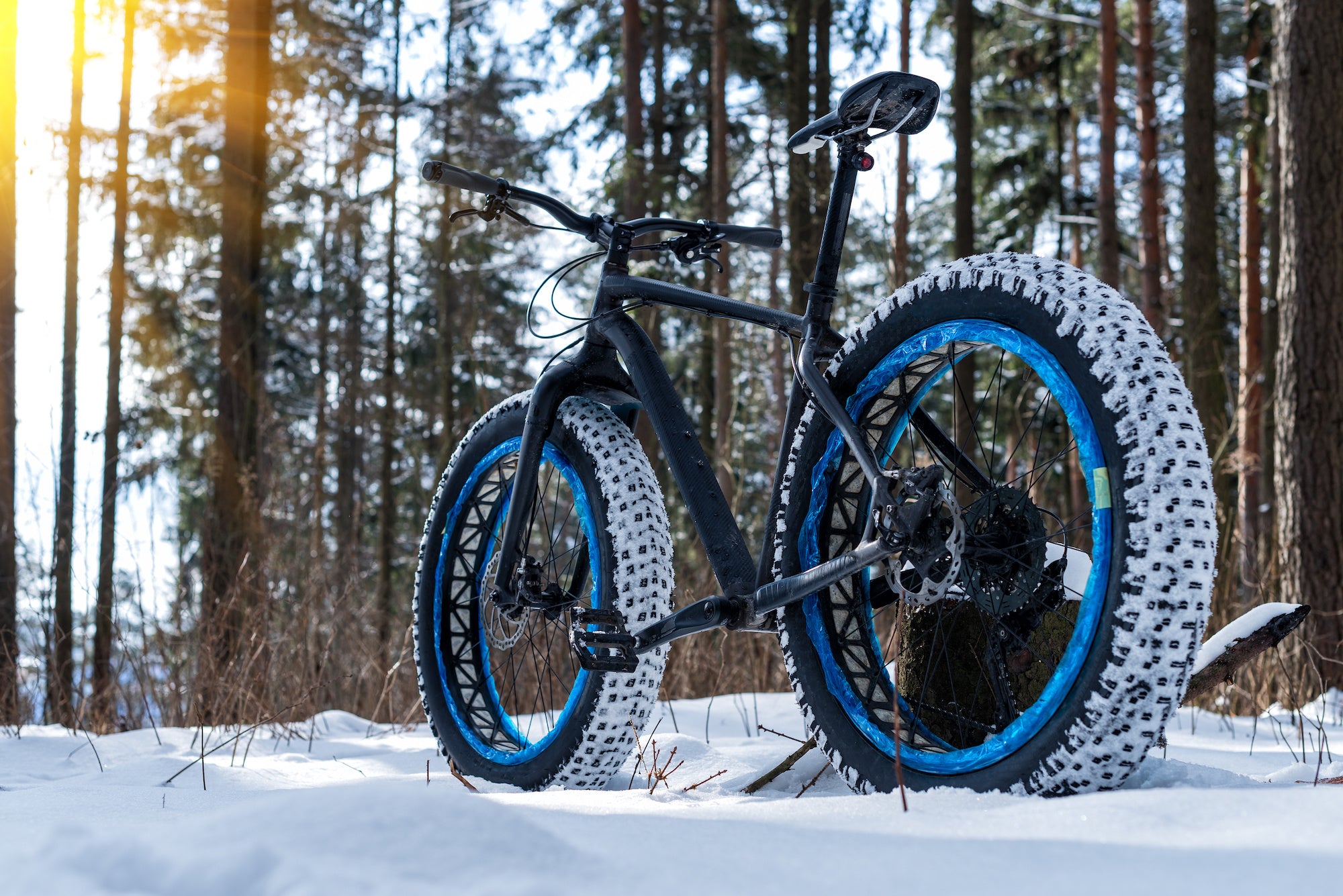 Fat Bike Tire Studs
